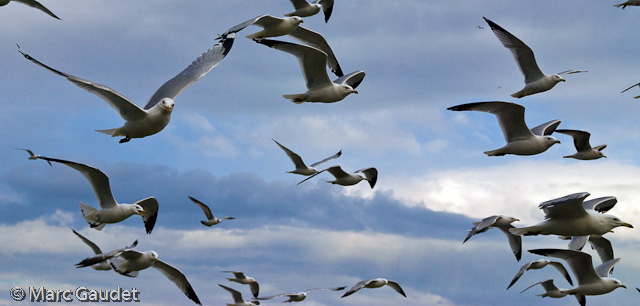 1/2000 sec at f / 5.0